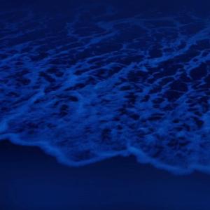 酒店双飞两个美女p
