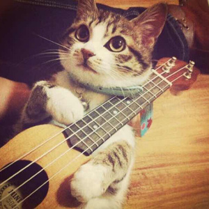 酒店双飞两个美女p
